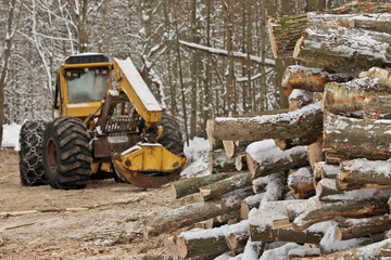 Fototapeta na wymiar Log or Logging Skidder with Freshly Harvested and piled timber logs