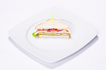 Plate made by a restaurant chef. Composition with salad slices of onion and grilled chicken meat.