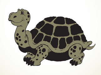 The big turtle. Vector drawing