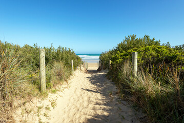 Fototapeta na wymiar Path To The Beach Along The Coast of Great Ocean Road