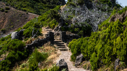 Fototapeta na wymiar Madeira - Pico Ruivo