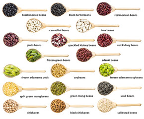 set of wooden spoon with various beans with names