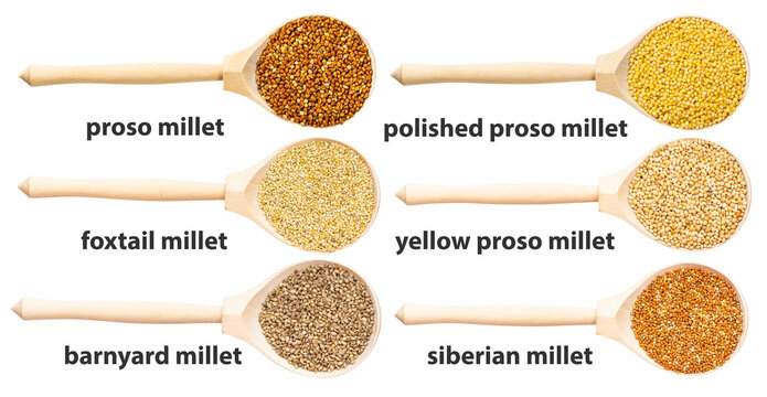 set of wooden spoon with various millets with name