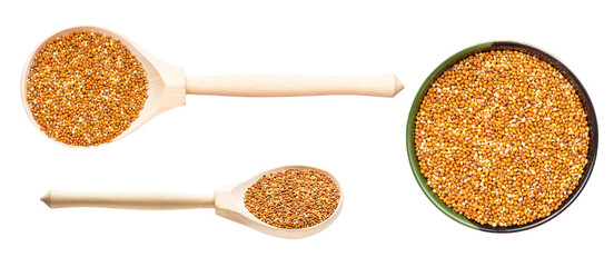 set of various siberian millet seeds isolated