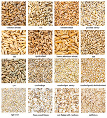 various cereal grains with names close up