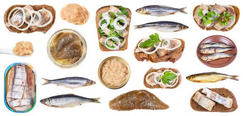 set of various cooked and raw herring fish and roe