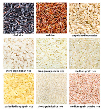 background - various rice grains with names