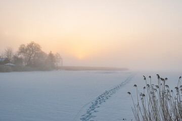 Winter foggy landscape on the lake
