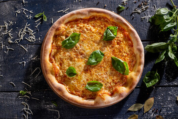 Cheese pizza decorated with basil isolated on dark wooden background top view