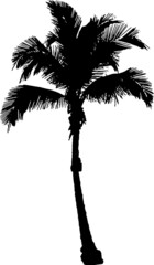 palm tree EPS, palm tree Silhouette, palm tree Vector, palm tree Cut File, palm tree Vector