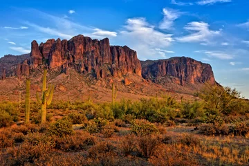Zelfklevend Fotobehang Arizona Arizona desert view with Superstitious mountain and Saguaro cacti and near sunset, Phoenix, USA