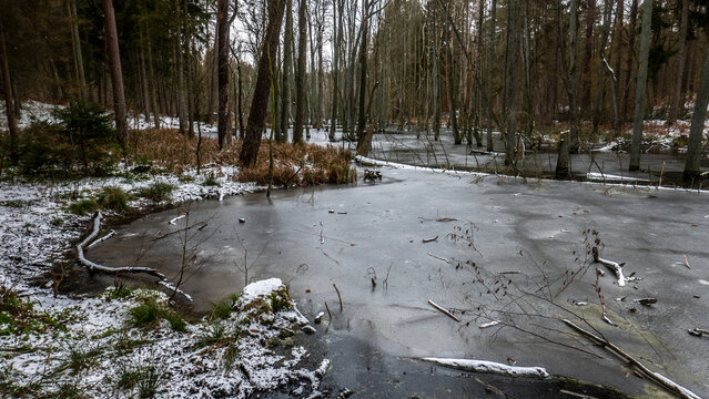 Das Briesetal im Winter