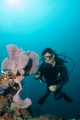 Scuba diver observes a beautiful coral reef.