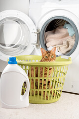 Washing machine with linen, laundry detergent and a cat hiding in a laundry basket.