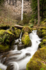 waterfall in the forest