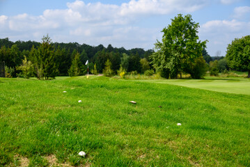 pieczarki w trawie na polu golfowym