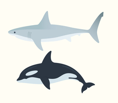 Shark and orca icon set. Marine animals vector illustration set