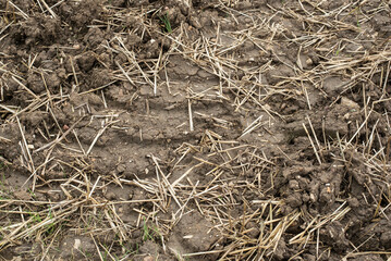 close-up of tire tracks in a field