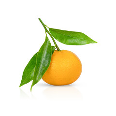 One ripe tangerine with leaves isolated on a white background