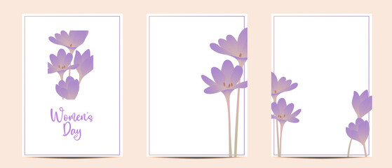 8 March greeting cards for International Womens Day. Vector illustration.