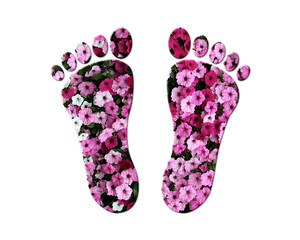 Feet Flowers Rose Icon Logo illustration