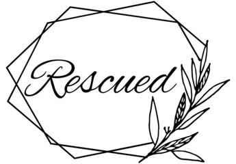 Rescued, the believer in Christ