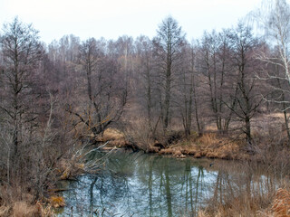 Fototapeta premium the bank of a small forest river on a cloudy day