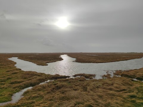 Wattenmeer im Gegenlicht