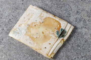 Spoiled slices of  hard  goat cheese with fenugreek closeup on stone background. White, green and...