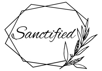 Sanctified, the believer in Christ