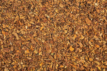 Dried smoking tobacco as background, macro. Freshly cut tobacco texture, top view.