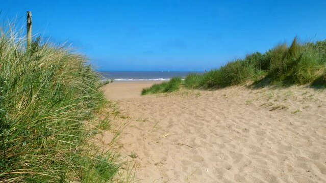 Entrance to the beach through sand dunes at Anderby Creek, near Skegness in Lincolnshire, UK under a bright blue sky.