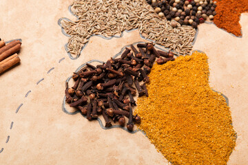 Spice world map. Dried spices. Pepper, turmeric, ginger, cloves