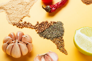 Spice world map. Dried spices. Pepper, turmeric, ginger, cloves