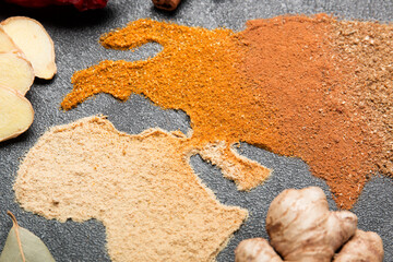 Spice world map. Dried spices. Pepper, turmeric, ginger, cloves
