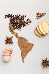 Spice world map. Dried spices. Pepper, turmeric, ginger, cloves