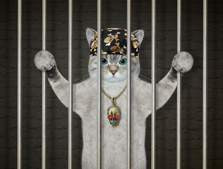 An ashen cat in a bandana was arrested. He is behind bars in the prison.