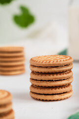 Fototapeta na wymiar Stack of sweet sandwich cookies and bootle of milk on a white background. Breakfast concept.