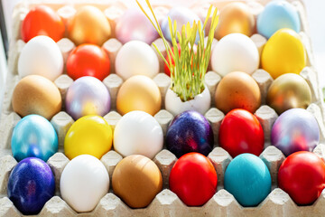 Fototapeta na wymiar Happy Easter card. colored Easter eggs in eggs tray young grass grows from the shell, background with spring flowers, selective focus image.