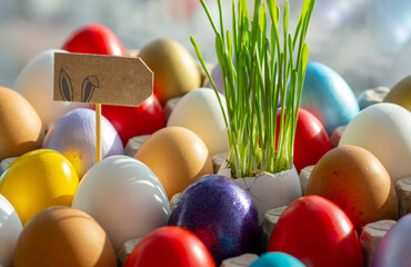 Happy Easter card. colored  Easter eggs in eggs tray young grass grows from the shell, background...