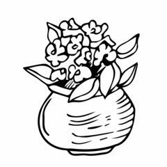 Flowers in pots painted black line on a white background. Vector drawing lines