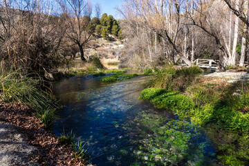 el arroyo en el bosque en otoño