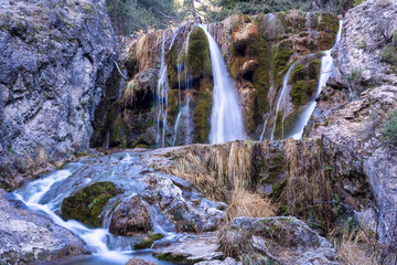 el arroyo en el bosque en otoño
