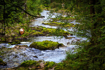 River Radnova wriggle slowly through Vintgar Gorge, Slovenia