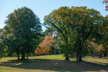 Fototapeta na wymiar The Long Meadow, in Brooklyn's Prospect Park, in early Fall.