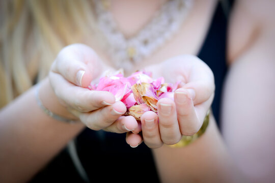 Rosenblüten in der Hand