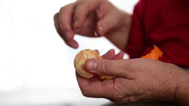 Close-up of a father's hands peeling a tangerine for a child