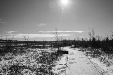 View over part of a swamp in winter and its boardwalk in Quebec, Canada