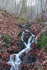 Wanderung im Winter im Harz auf dem Goetheweg nahe Torfhaus (Hiking in the winter in the Harz Mountains) | Berggerinnsel und Brücke auf dem Goetheweg