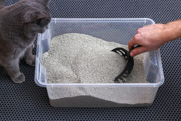 The man cleans the litter box. Hand holds a scoop with a lump. Clumping filler.